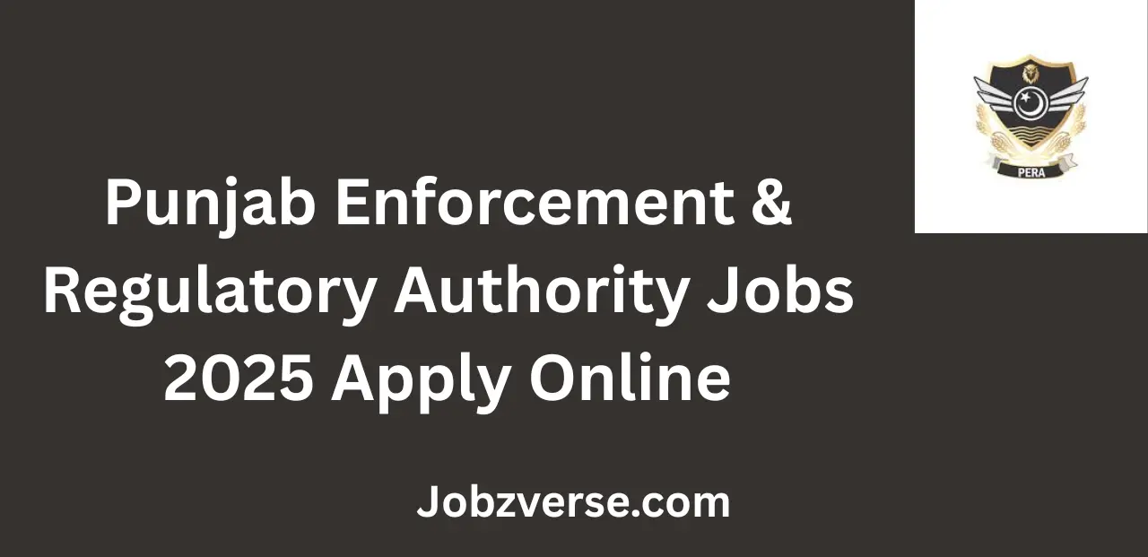 Punjab Enforcement & Regulatory Authority Jobs 2025 Apply Online